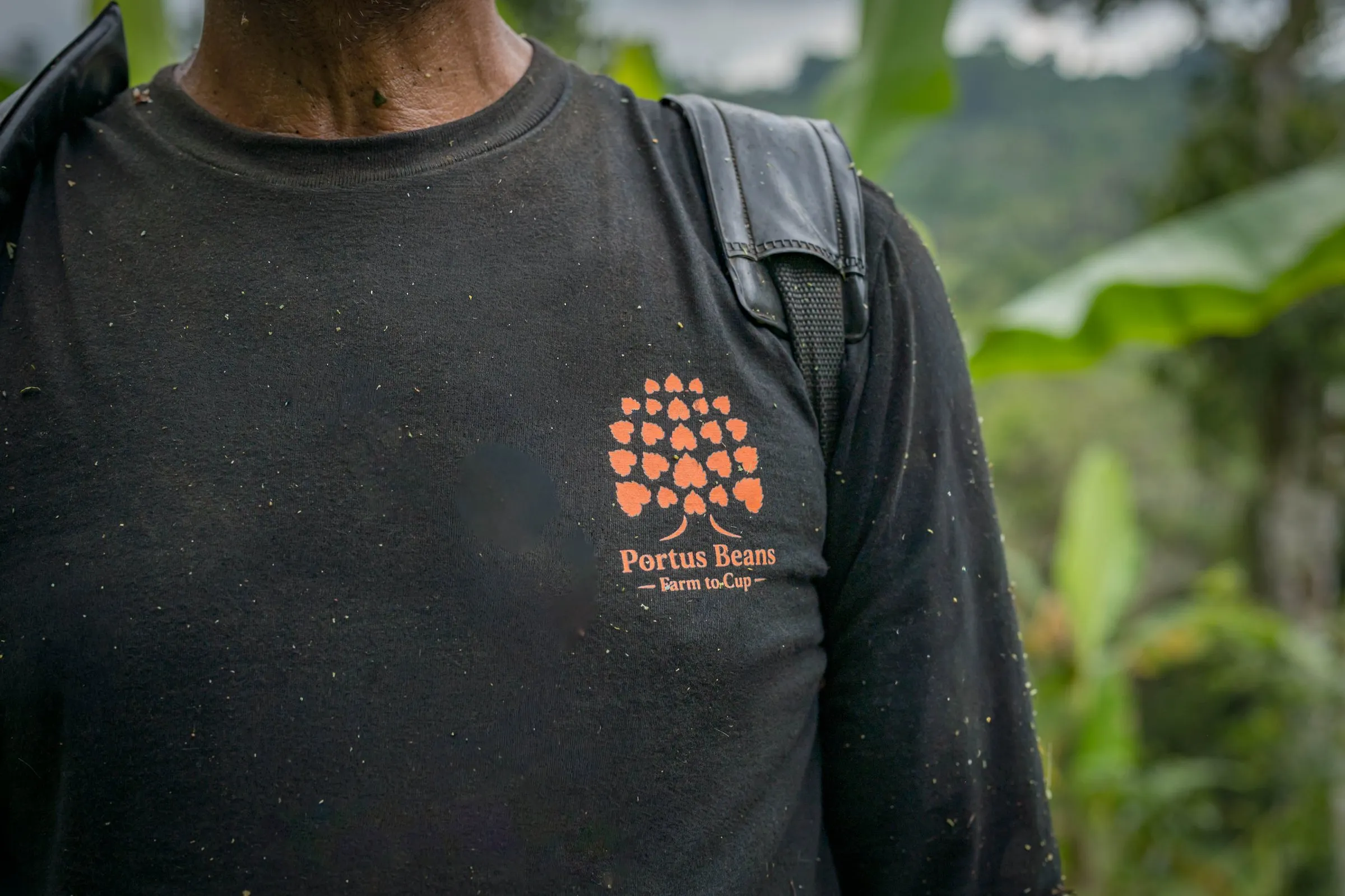 Back of a farmer wearing a Portus Beans t-shirt with the coffee tree logo
